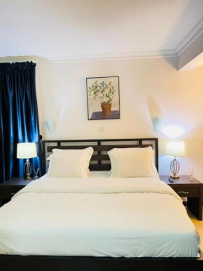 Luxury 3 Bedroom in Ikoyi With Pool and Gym